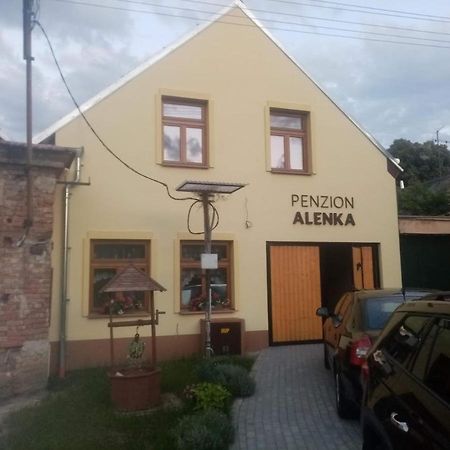 Penzion Alenka Valtice Extérieur photo